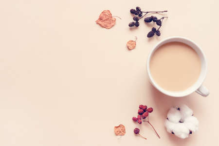 Autumn pastel background. A cup of hot coffee or tea with milk with autumn leaves and anise. Banner with copy space for text. Flat lay, top view.の写真素材