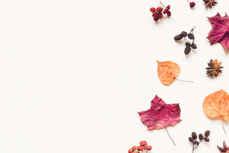 Autumn background made of leaves, berries and cones. Flat lay, top view. Copy space for text.の写真素材