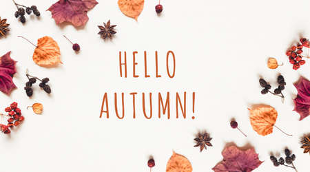 Autumn background made of leaves, berries and cones. Flat lay, top view. Copy space for text.