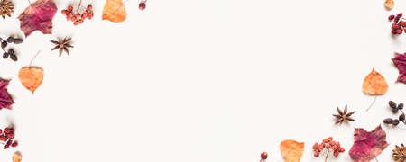 Autumn background made of leaves, berries and cones. Flat lay, top view. Copy space for text.