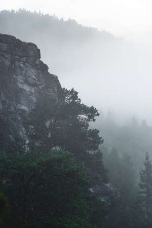 Scenic landscape view of the cliff in the fog.の写真素材