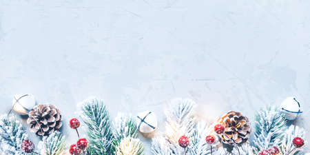 Christmas background of snow-covered branches with berries and cones. Flat lay, top view.の写真素材