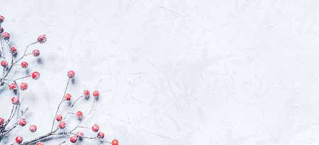 Christmas background of snow-covered branches with berries. Flat lay, top view. Copy space for text.の写真素材
