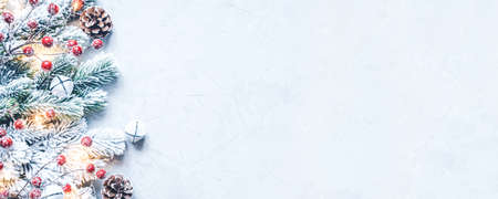 Christmas background of snow-covered branches with berries and cones. Flat lay, top view.の写真素材