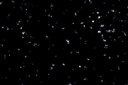 Abstract black background with isolated falling snowflakes.の写真素材