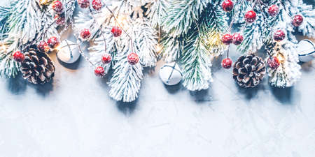 Christmas background of snow-covered branches with berries and cones. Flat lay, top view.の写真素材