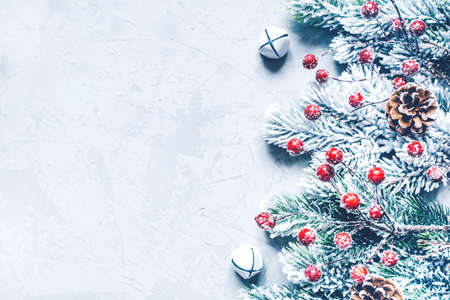 Christmas background of snow-covered branches with berries. Flat lay, top view. Copy space for text.