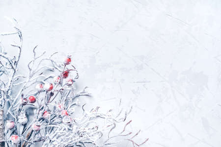 Christmas background of snow-covered branches with berries. Flat lay, top view. Copy space for text.の写真素材