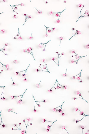 Beautiful flower background of gypsophila flowers. Flat lay, top view. Floral pattern.