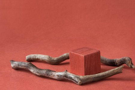 Minimalist natural background for cosmetic products. Terracotta wooden podium and branches of a tree.の写真素材