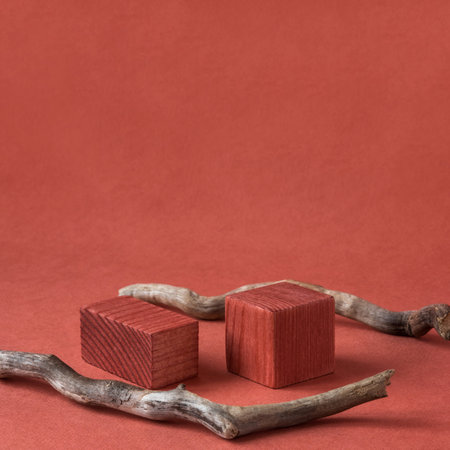 Minimalist natural background for cosmetic products. Terracotta wooden podium and branches of a...