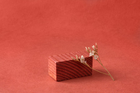 Minimalist natural background for cosmetic products. Terracotta wooden podium and dry flower.の写真素材