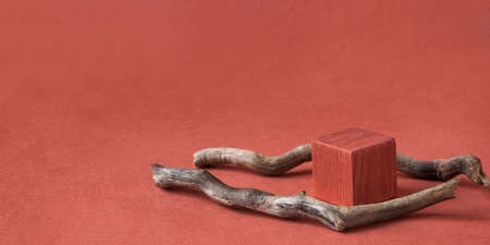 Minimalist natural background for cosmetic products. Terracotta wooden podium and branches of a tree.の写真素材