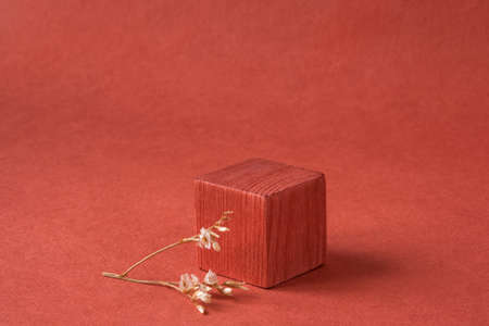 Minimalist natural background for cosmetic products. Terracotta wooden podium and dry flower.の写真素材