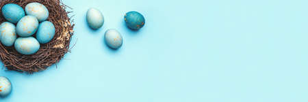 Easter eggs in nest on blue background. Flat lay, top view.の写真素材