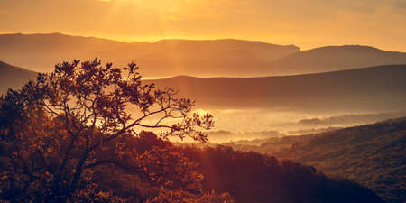 Beautiful view of the misty valley with the rising sun. Autumn.