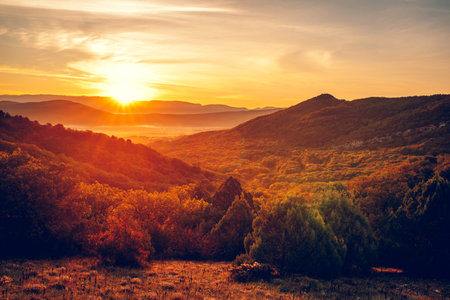 Beautiful view of the misty valley with the rising sun. Autumn.の写真素材