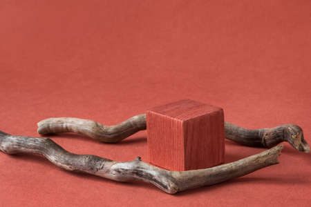 Minimalist natural background for cosmetic products. Terracotta wooden podium and branches of a tree.の写真素材