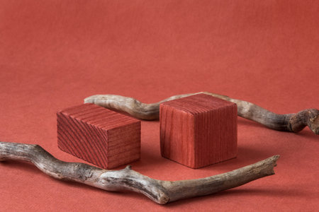 Minimalist natural background for cosmetic products. Terracotta wooden podium and branches of a tree.の写真素材