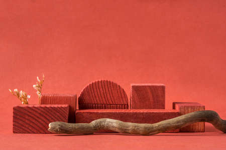 Minimalist natural background for cosmetic products. Terracotta wooden podiums, dry flower and branche of a tree.の写真素材