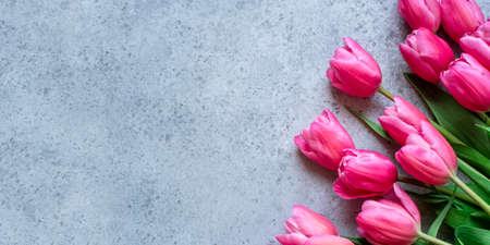 Fresh tulip flowers on a gray concrete background. Bright spring background. Copy space for text.の写真素材