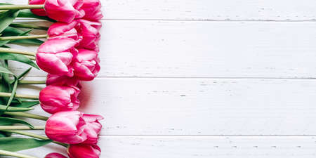 Fresh tulip flowers on a white wooden background. Bright spring background. Copy space for text.の写真素材
