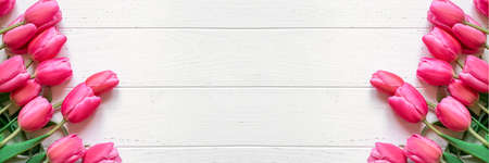 Fresh tulip flowers on a white wooden background. Bright spring background. Copy space for text.の写真素材