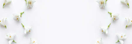 Fresh white flowers on a white background. Spring minimal concept.の写真素材