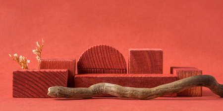 Minimalist natural background for cosmetic products. Terracotta wooden podiums, dry flower and branche of a tree.の写真素材