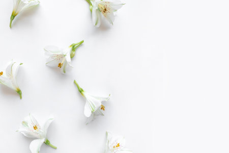 Fresh white flowers on a white background. Spring minimal concept.の写真素材
