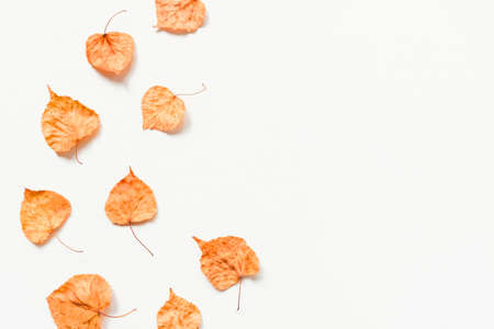 Autumn background made of dry yellow leaves. Flat lay, top view. Copy space for text.の写真素材