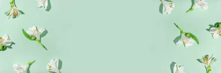 Fresh white flowers on a green background. Spring minimal concept.の写真素材