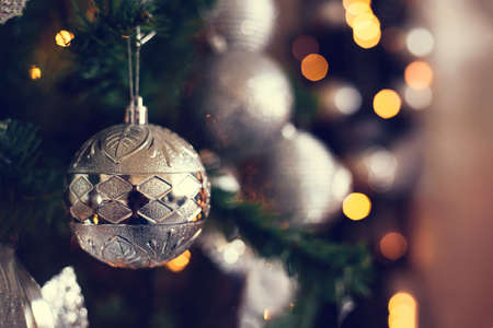 Silver Christmas balls on a fir branch.の写真素材