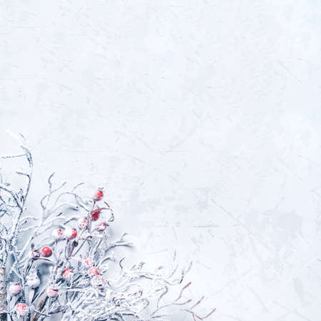 Christmas background of snow-covered branches with berries.の写真素材