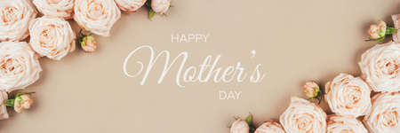 Spring background. Rose flowers on a beige background.の写真素材
