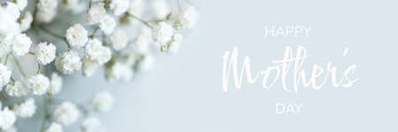 White flowers of the gypsophila. Gentle spring background.の写真素材