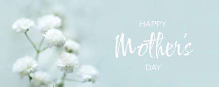 White flowers of the gypsophila. Gentle spring background.の写真素材