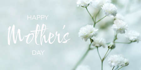 White flowers of the gypsophila. Gentle spring background.の写真素材