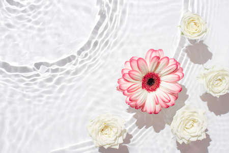 Sunny summer cosmetic background with flowers.の写真素材