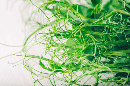 Peas microgreens on a white table.