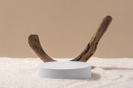 natural cosmetic background for product presentation. Driftwood and white podium on the sand. front view.の写真素材