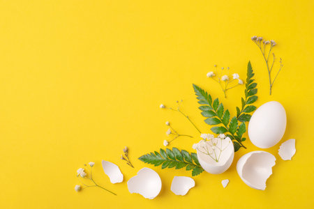 White Easter eggs and shells on a bright yellow background.の写真素材