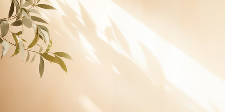 Light beige minimalistic background with a tree branch. Bright sunlight and shadows from the foliage.の素材