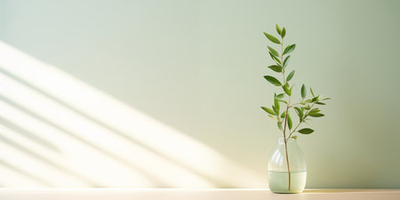 Light summer green background with a vase and a green plant on the table. Bright sunlight and shadows from the foliage.の素材