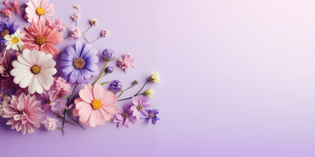 Beautiful flowers on lilac background. Banner with place for text.の素材