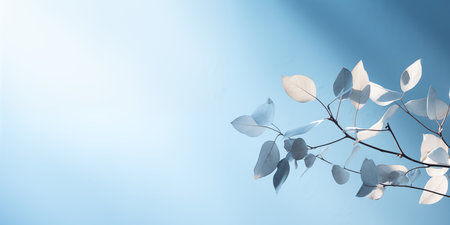 Light blue minimalistic background with a tree branch. Bright sunlight.の素材