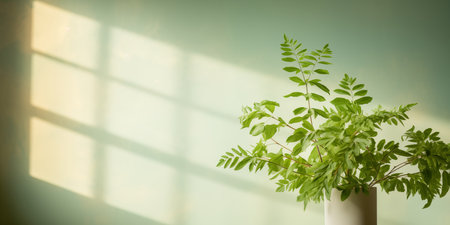 Light summer green background with a vase and a green plant on the table. Bright sunlight and shadows from the foliage.の素材