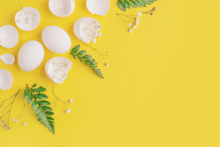 White Easter eggs and shells on a bright yellow background.の写真素材