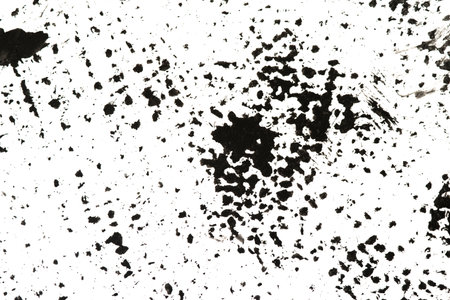 Abstract grunge texture of black paint. A layer for use in design.の写真素材
