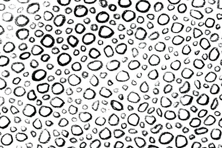 Hand-Drawn Print with Abstract Circular Patterns. Bold Black and White Design for Modern Texturesの写真素材